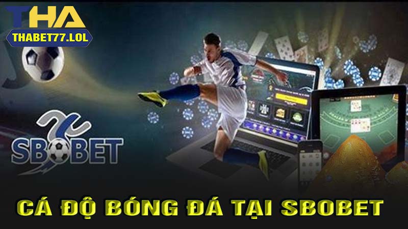 Cá độ bóng đá tại sbobet