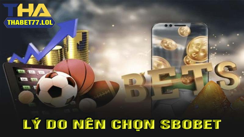 Lý do nên chọn Sbobet