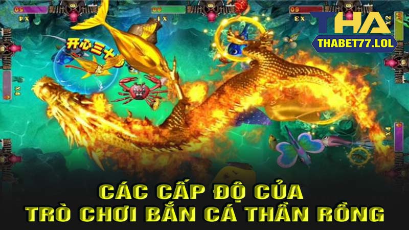 Các cập độ khi chơi bắn cá thần rồng