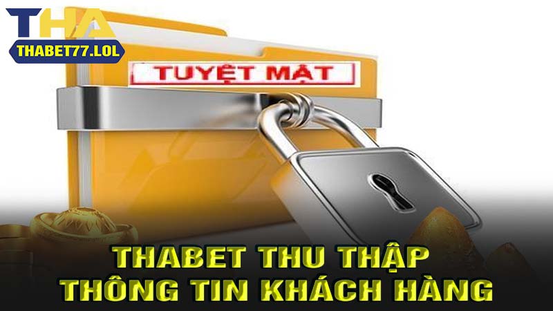 Thabet thu thập thông tin khách hàng như nào